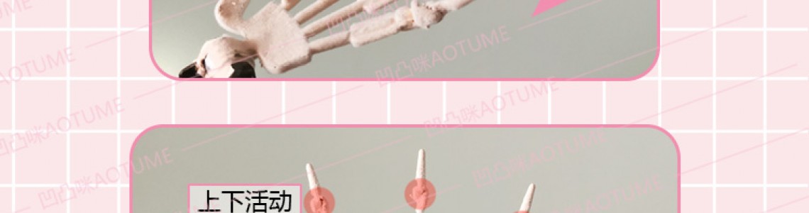Aotume Doll  指骨＆ボールジョイントバックル紹介