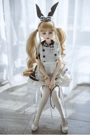 シリコン アニメ ドール メイド衣装 60cm X2ヘッド CM011 Mini Doll シリコン アニメ ドール メイド衣装 60cm X2ヘッド CM011 Mini Doll