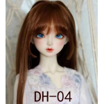 DH-04 