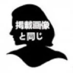 掲載画像と同じ 