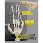 新技術の骨格関節の手指  + 8,000円 