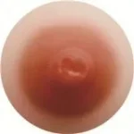2.ライトブラウン 