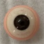  6.毛細管付き  + 5,000円 