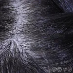 ブラック-植毛（髪型はご指定可能、シリコンヘッドのみ）  + 30,000円 