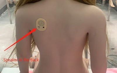 ラブドールうめき声システム