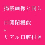 掲載画像と同じ  + 20,000円 