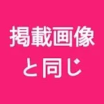 掲載画像と同じ 