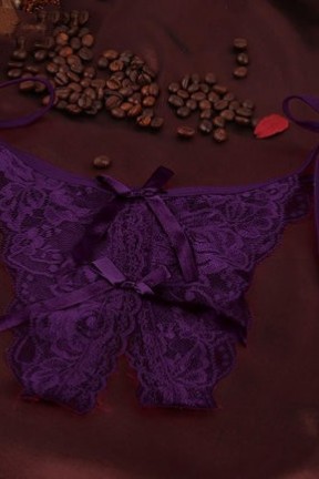 セクシーな下着 | セクシーなレースのストラップと開き裂きのある蝶のパンティー